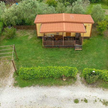 Agriturismo Nonna Stella 비보나 외부 사진